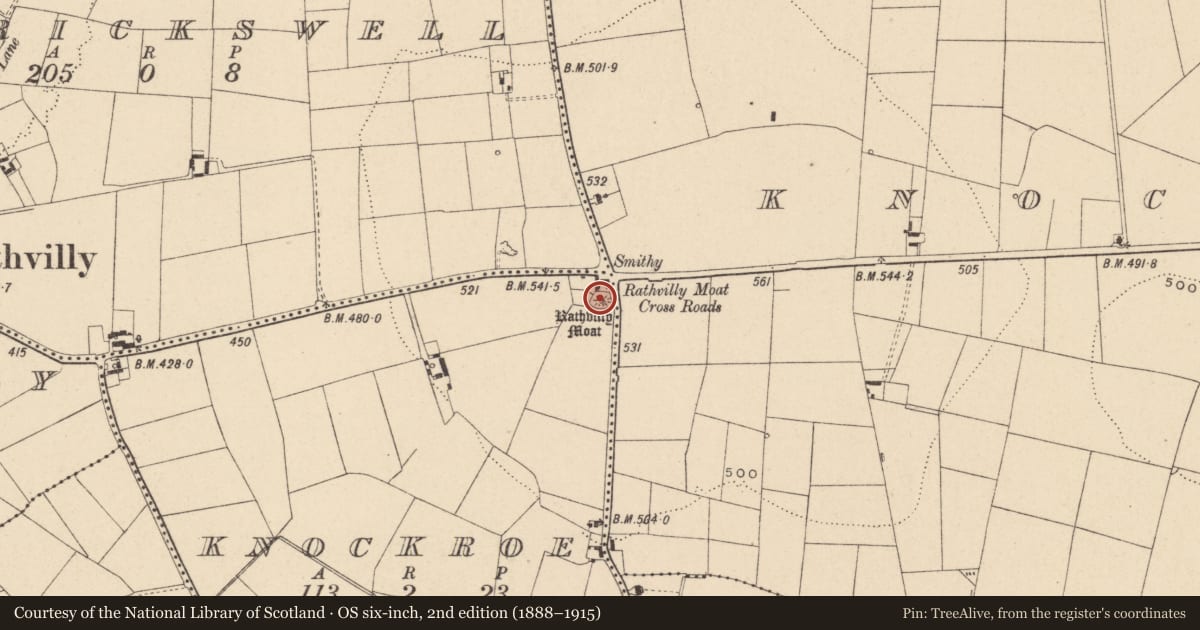 Ordnance Survey six-inch map, 2nd edition (1888–1915) covering the location of Castle - motte and bailey, Knockroe, County Carlow, with a pin at the register's coordinates