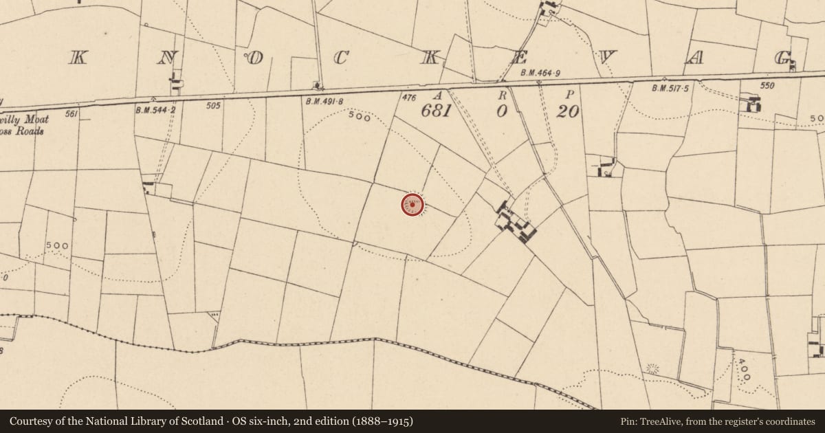 Ordnance Survey six-inch map, 2nd edition (1888–1915) covering the location of Ringfort - rath, Knockevagh, County Carlow, with a pin at the register's coordinates