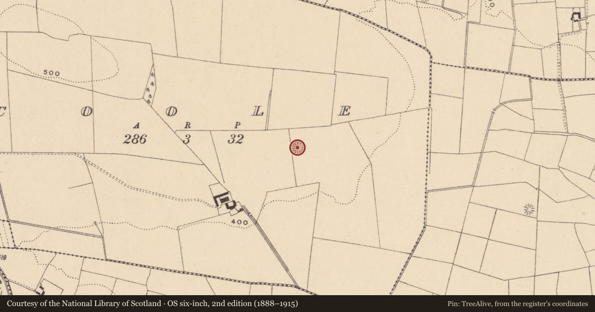 Ordnance Survey six-inch map, 2nd edition (1888–1915) covering the location of Earthwork, Coole, County Carlow, with a pin at the register's coordinates