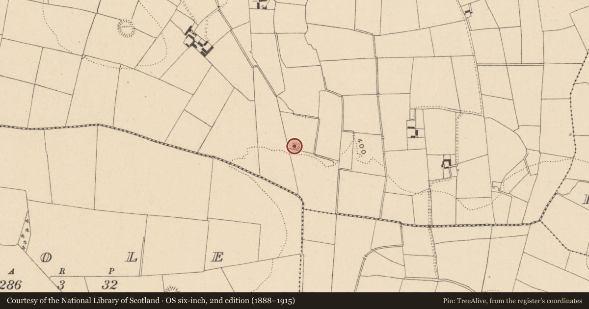 Ordnance Survey six-inch map, 2nd edition (1888–1915) covering the location of Earthwork, Knockevagh, County Carlow, with a pin at the register's coordinates