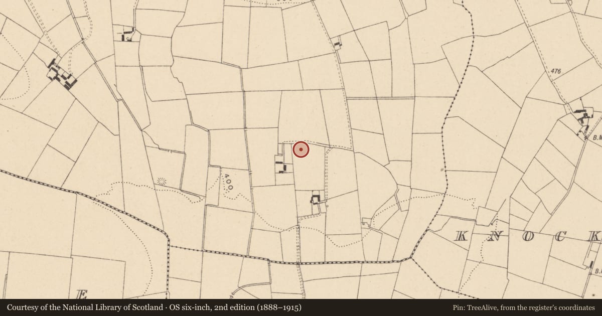 Ordnance Survey six-inch map, 2nd edition (1888–1915) covering the location of Ringfort - rath, Knockevagh, County Carlow, with a pin at the register's coordinates