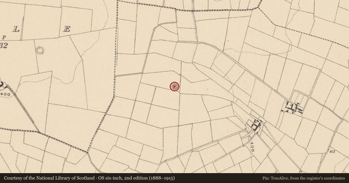 Ordnance Survey six-inch map, 2nd edition (1888–1915) covering the location of Earthwork, Williamstown, County Carlow, with a pin at the register's coordinates