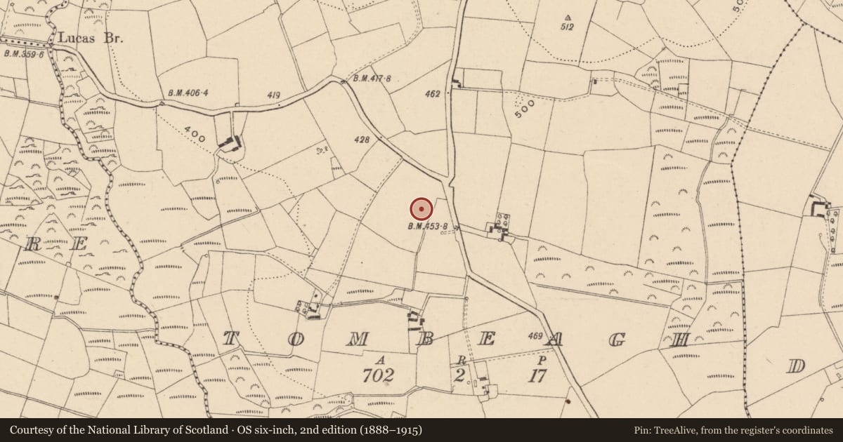 Ordnance Survey six-inch map, 2nd edition (1888–1915) covering the location of Standing stone, Tombeagh, County Carlow, with a pin at the register's coordinates