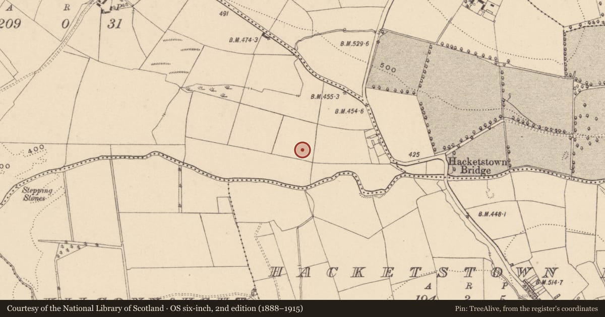 Ordnance Survey six-inch map, 2nd edition (1888–1915) covering the location of Church, Brownbog, County Carlow, with a pin at the register's coordinates