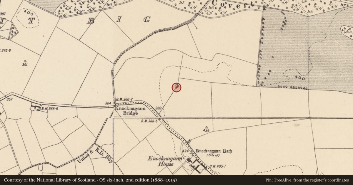 Ordnance Survey six-inch map, 2nd edition (1888–1915) covering the location of Enclosure, Lisnevagh, County Carlow, with a pin at the register's coordinates
