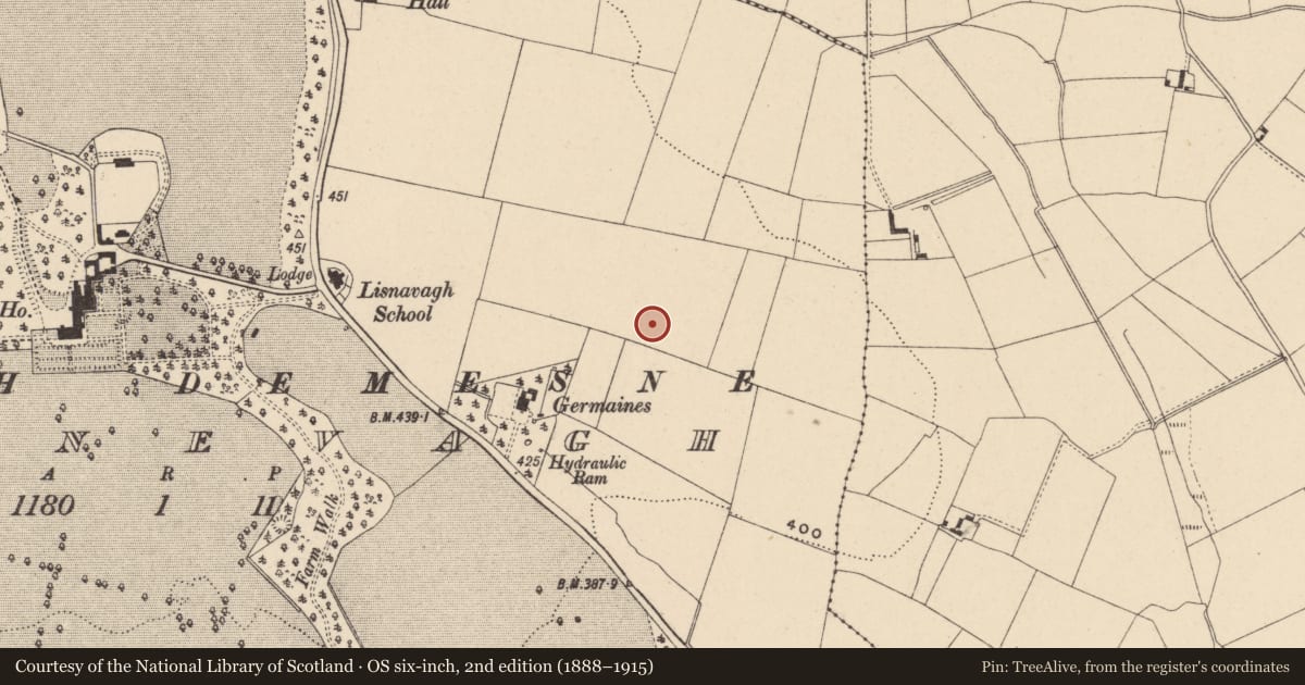 Ordnance Survey six-inch map, 2nd edition (1888–1915) covering the location of Cross-inscribed stone, Lisnevagh, County Carlow, with a pin at the register's coordinates