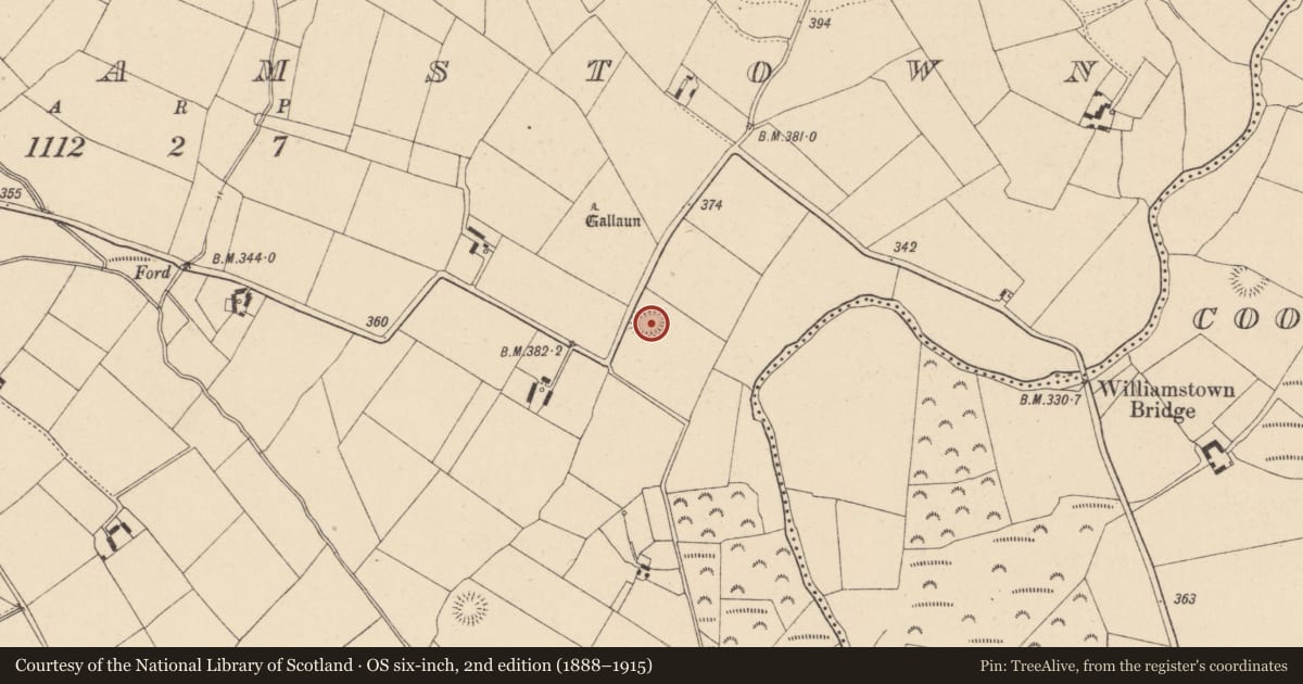 Ordnance Survey six-inch map, 2nd edition (1888–1915) covering the location of Enclosure, Williamstown, County Carlow, with a pin at the register's coordinates