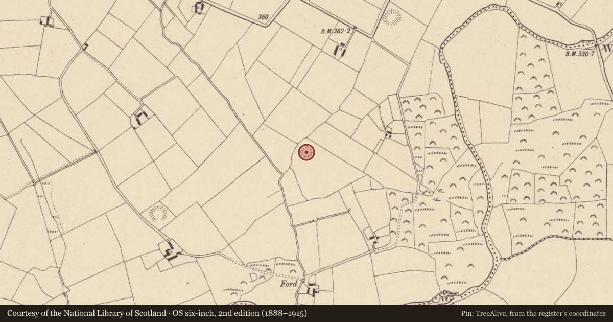 Ordnance Survey six-inch map, 2nd edition (1888–1915) covering the location of Ringfort - rath, Williamstown, County Carlow, with a pin at the register's coordinates
