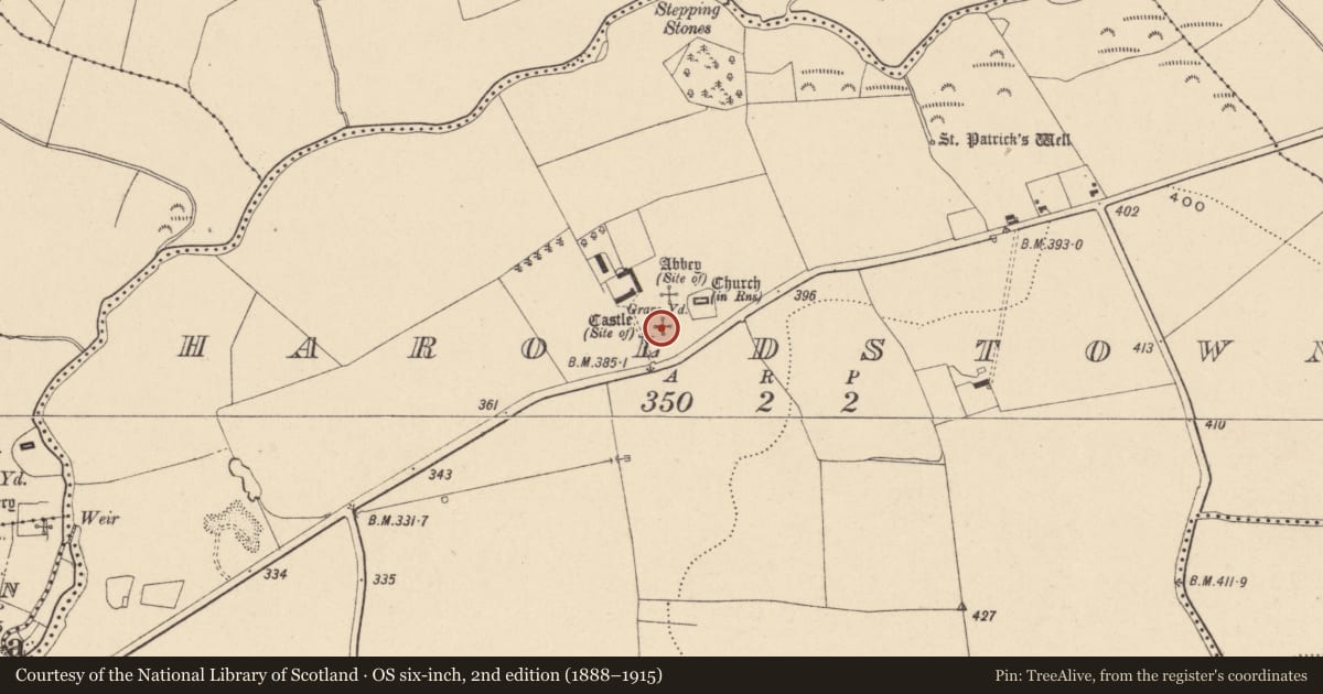 Ordnance Survey six-inch map, 2nd edition (1888–1915) covering the location of Castle - unclassified, Haroldstown, County Carlow, with a pin at the register's coordinates