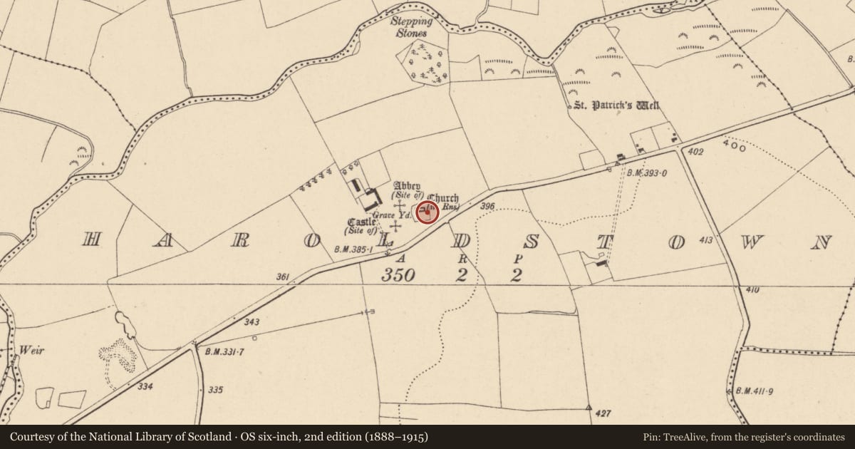Ordnance Survey six-inch map, 2nd edition (1888–1915) covering the location of Cross-inscribed pillar, Haroldstown, County Carlow, with a pin at the register's coordinates