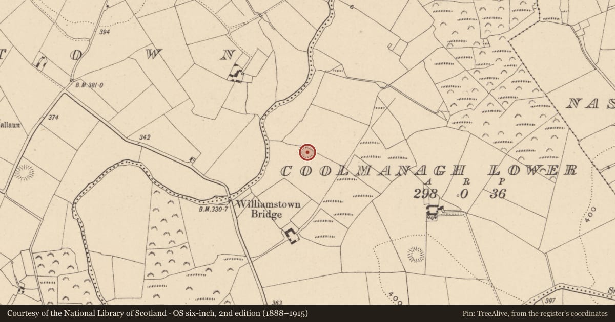 Ordnance Survey six-inch map, 2nd edition (1888–1915) covering the location of Ringfort - rath, Coolmanagh Lower, County Carlow, with a pin at the register's coordinates