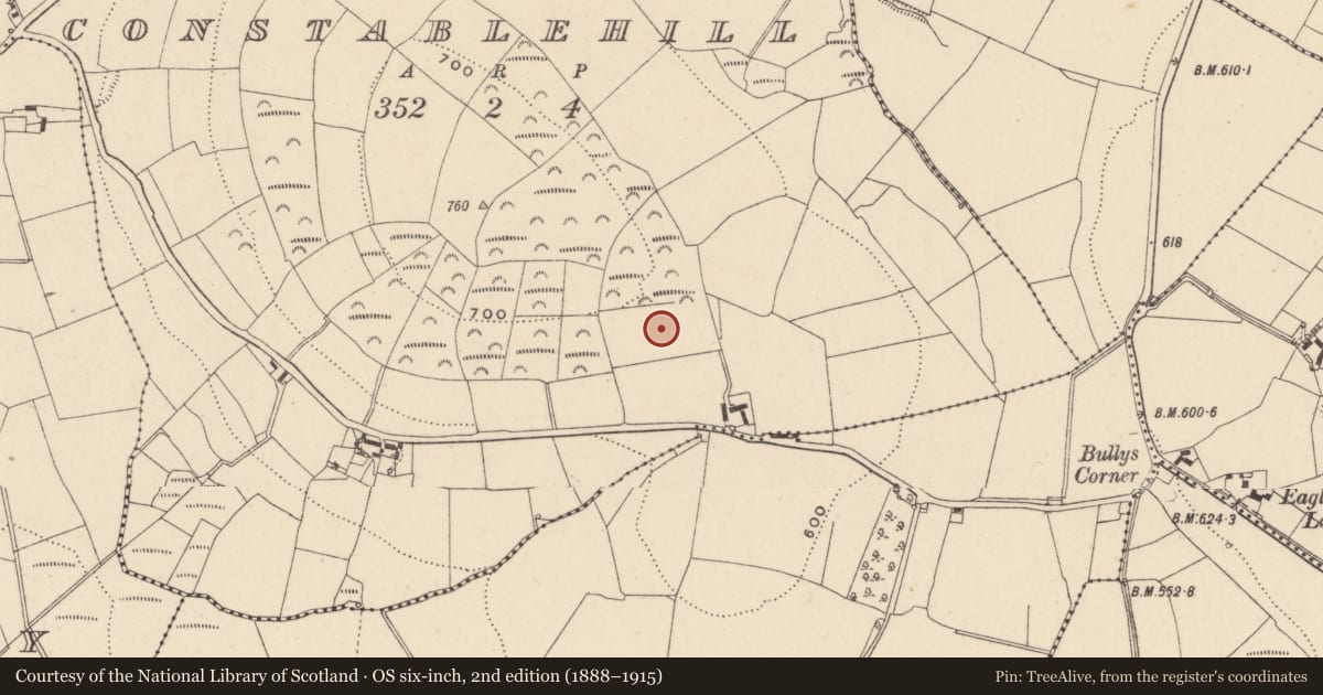 Ordnance Survey six-inch map, 2nd edition (1888–1915) covering the location of Bullaun stone, Constablehill, County Carlow, with a pin at the register's coordinates