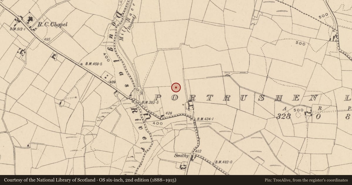 Ordnance Survey six-inch map, 2nd edition (1888–1915) covering the location of Enclosure, Portrushen Lower, County Carlow, with a pin at the register's coordinates