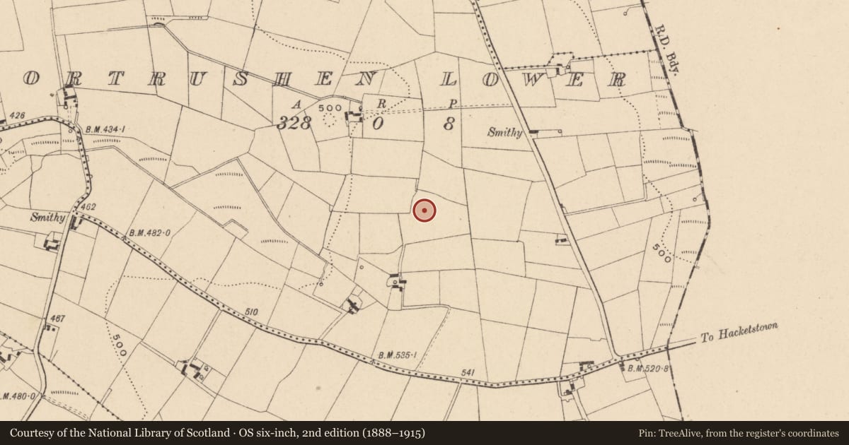 Ordnance Survey six-inch map, 2nd edition (1888–1915) covering the location of Enclosure, Portrushen Lower, County Carlow, with a pin at the register's coordinates