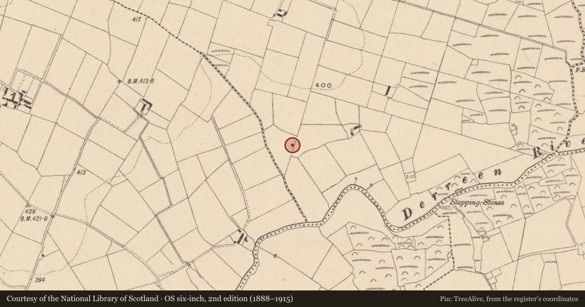 Ordnance Survey six-inch map, 2nd edition (1888–1915) covering the location of Ringfort - rath, Knocklishen More, County Carlow, with a pin at the register's coordinates