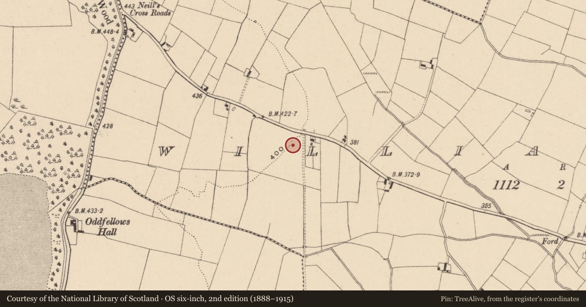 Ordnance Survey six-inch map, 2nd edition (1888–1915) covering the location of Enclosure, Williamstown, County Carlow, with a pin at the register's coordinates