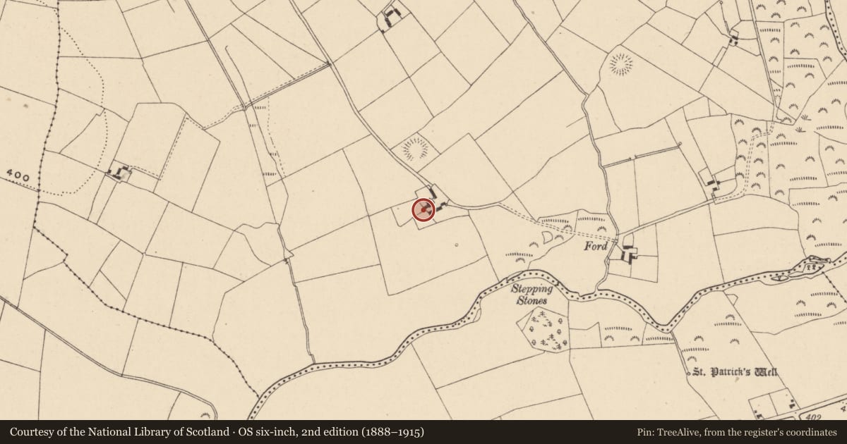 Ordnance Survey six-inch map, 2nd edition (1888–1915) covering the location of Castle - unclassified, Williamstown, County Carlow, with a pin at the register's coordinates