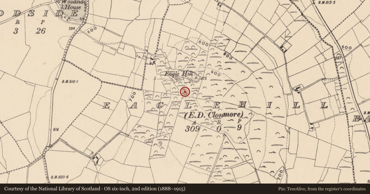 Ordnance Survey six-inch map, 2nd edition (1888–1915) covering the location of Metalworking site, Eaglehill, County Carlow, with a pin at the register's coordinates