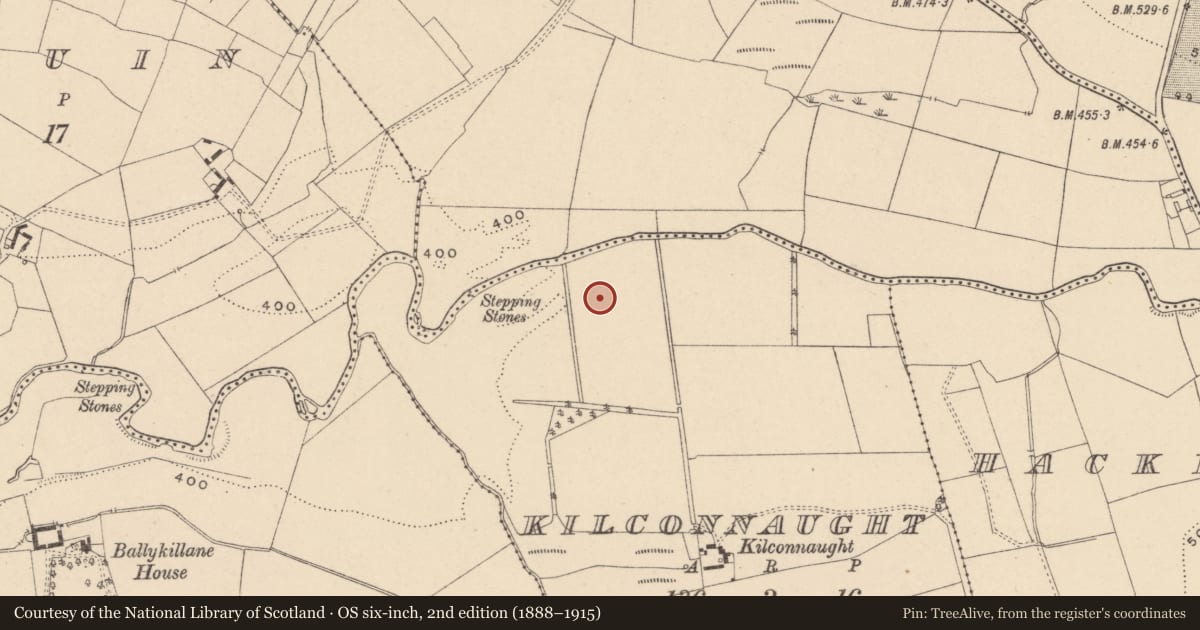 Ordnance Survey six-inch map, 2nd edition (1888–1915) covering the location of Fulacht fia, Kilconnaught, County Carlow, with a pin at the register's coordinates