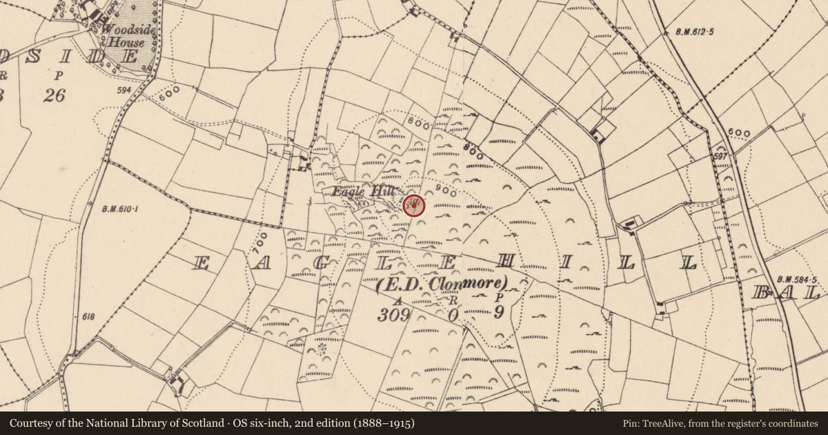 Ordnance Survey six-inch map, 2nd edition (1888–1915) covering the location of Hut site, Eaglehill, County Carlow, with a pin at the register's coordinates