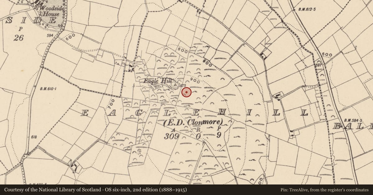 Ordnance Survey six-inch map, 2nd edition (1888–1915) covering the location of Enclosure, Eaglehill, County Carlow, with a pin at the register's coordinates