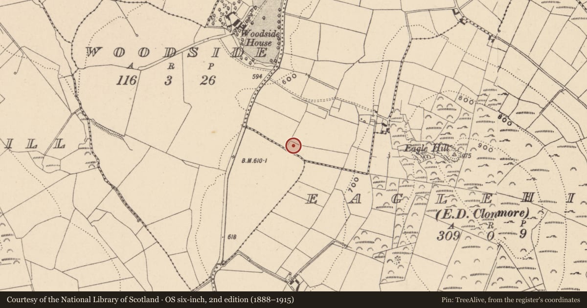 Ordnance Survey six-inch map, 2nd edition (1888–1915) covering the location of Mound, Eaglehill, County Carlow, with a pin at the register's coordinates