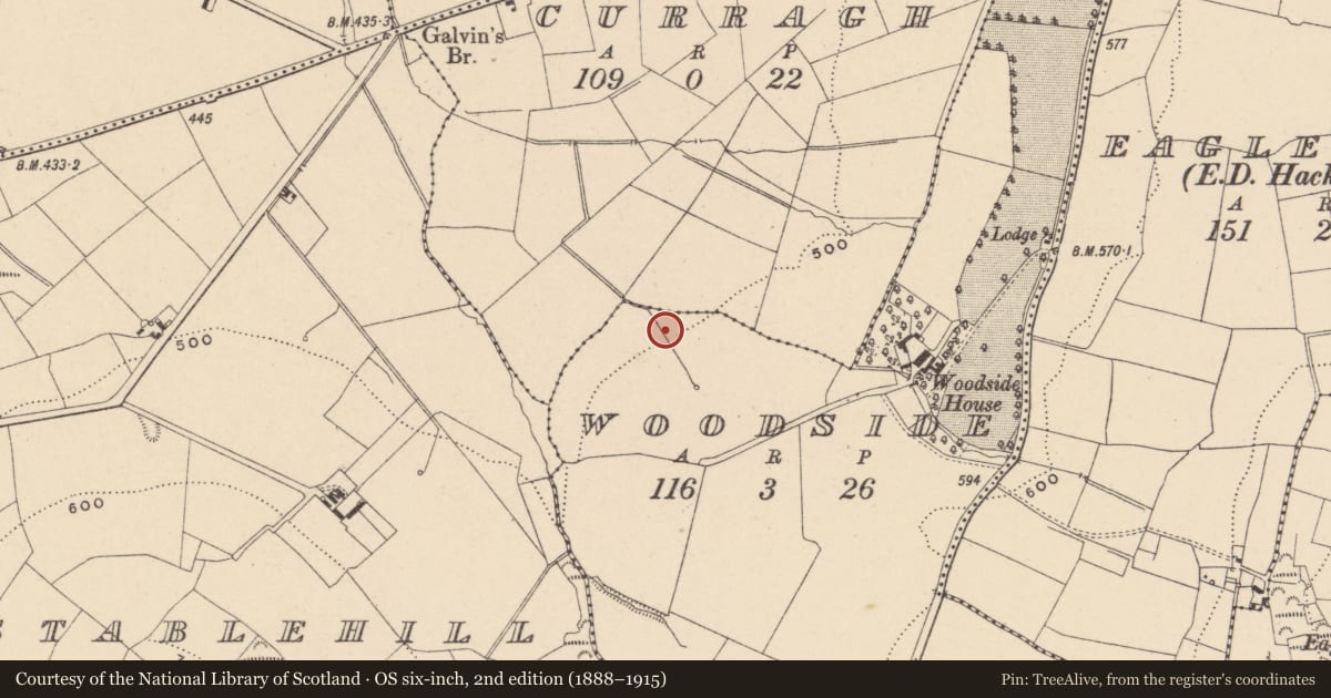 Ordnance Survey six-inch map, 2nd edition (1888–1915) covering the location of Fulacht fia, Woodside, County Carlow, with a pin at the register's coordinates