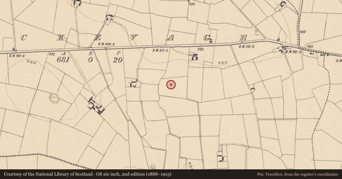 Ordnance Survey six-inch map, 2nd edition (1888–1915) covering the location of Enclosure - large enclosure, Knockevagh, County Carlow, with a pin at the register's coordinates
