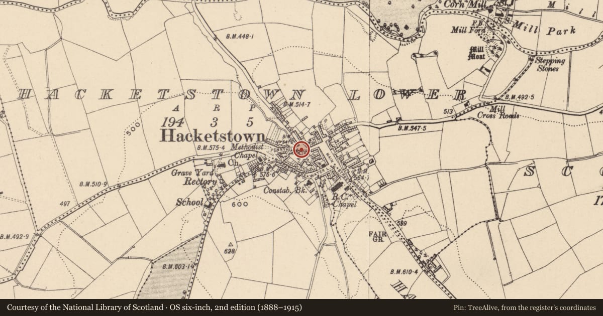 Ordnance Survey six-inch map, 2nd edition (1888–1915) covering the location of Battlefield, County Carlow, with a pin at the register's coordinates