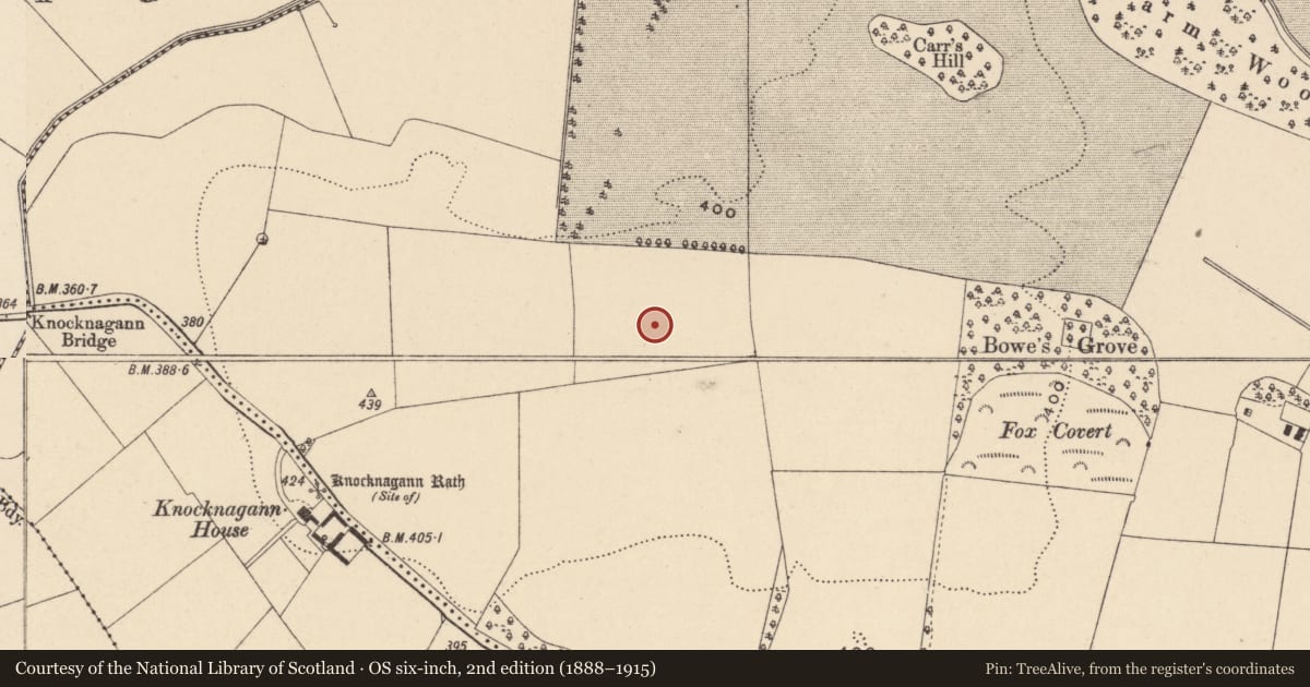 Ordnance Survey six-inch map, 2nd edition (1888–1915) covering the location of Enclosure, Lisnevagh, County Carlow, with a pin at the register's coordinates