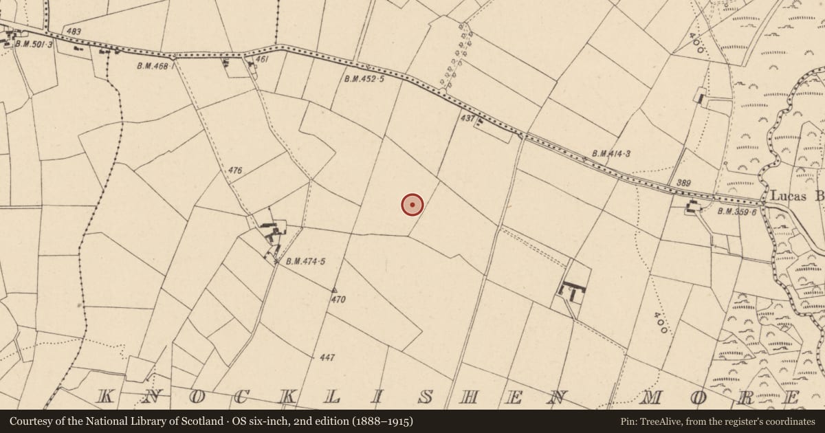 Ordnance Survey six-inch map, 2nd edition (1888–1915) covering the location of Enclosure, Knocklishen More, County Carlow, with a pin at the register's coordinates