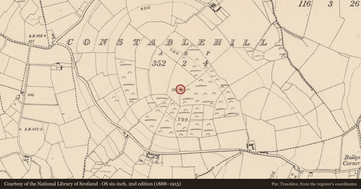 Ordnance Survey six-inch map, 2nd edition (1888–1915) covering the location of Hilltop enclosure, Constablehill, County Carlow, with a pin at the register's coordinates