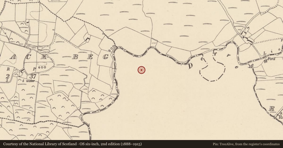 Ordnance Survey six-inch map, 2nd edition (1888–1915) covering the location of Ringfort - rath, Ballyedmond, County Carlow, with a pin at the register's coordinates