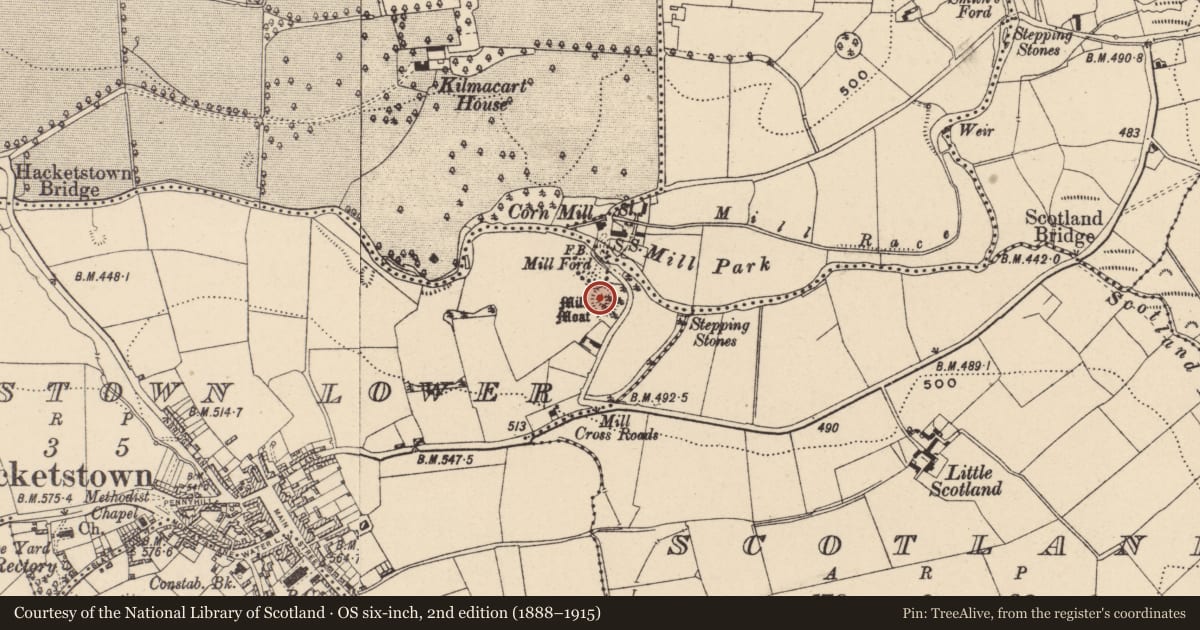 Ordnance Survey six-inch map, 2nd edition (1888–1915) covering the location of Earthwork, Hacketstown Lower, County Carlow, with a pin at the register's coordinates