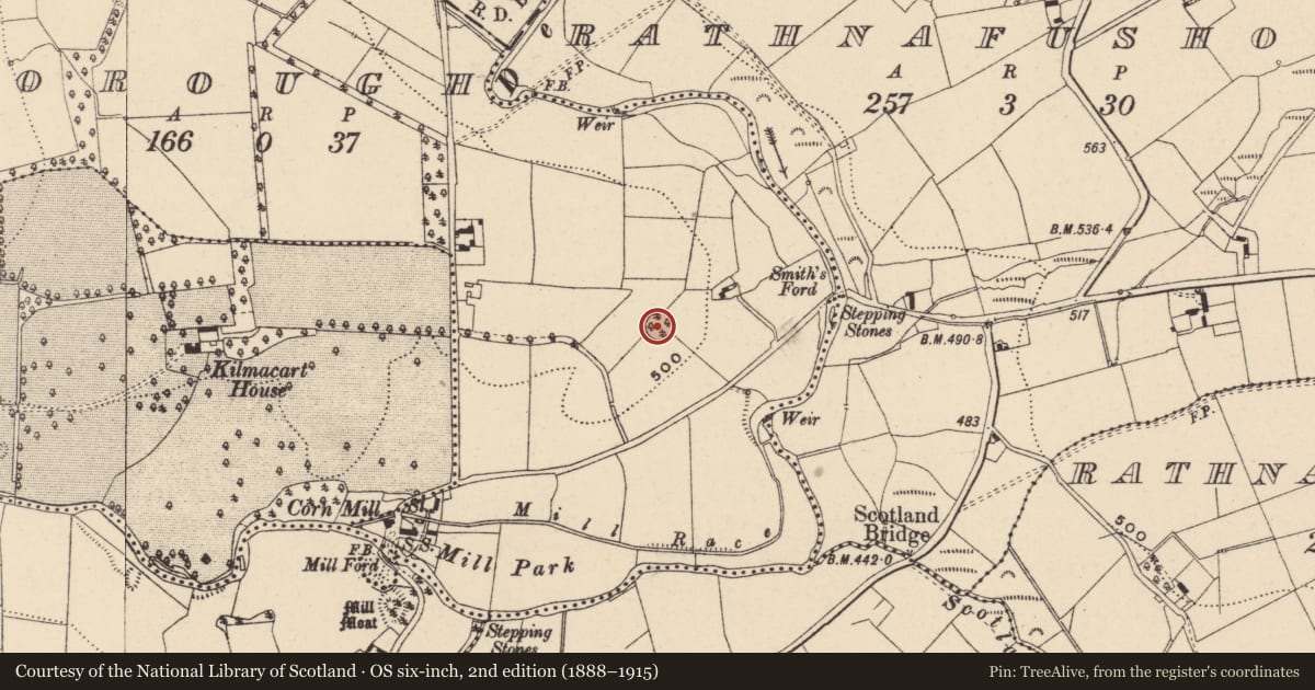 Ordnance Survey six-inch map, 2nd edition (1888–1915) covering the location of Enclosure, Borough, County Carlow, with a pin at the register's coordinates