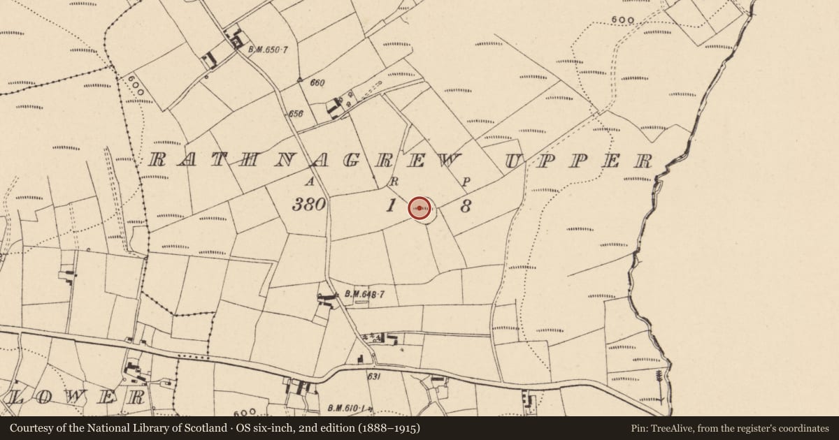 Ordnance Survey six-inch map, 2nd edition (1888–1915) covering the location of Enclosure, Rathnagrew Upper, County Carlow, with a pin at the register's coordinates