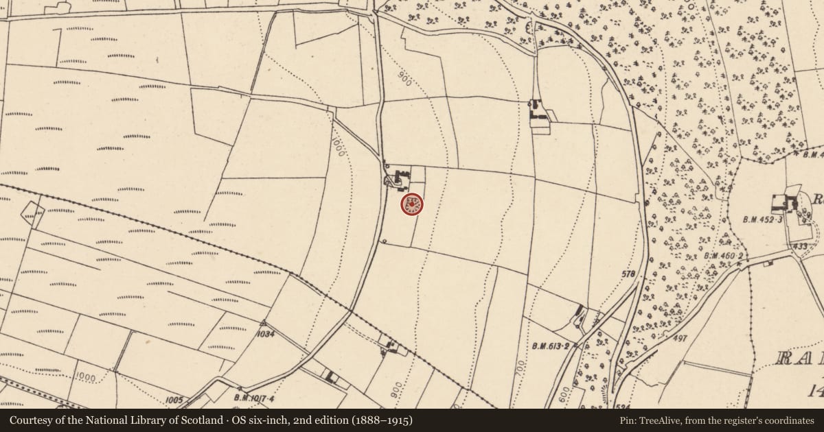 Ordnance Survey six-inch map, 2nd edition (1888–1915) covering the location of Ringfort - rath, Clogrenan, County Carlow, with a pin at the register's coordinates