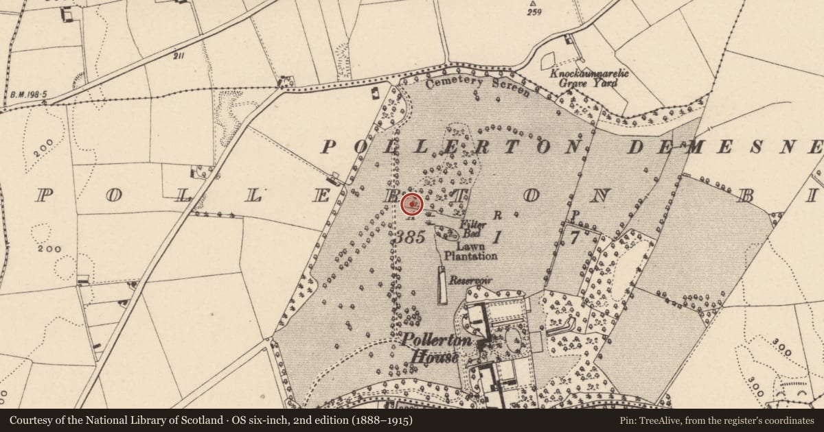 Ordnance Survey six-inch map, 2nd edition (1888–1915) covering the location of Designed landscape - tree-ring, Pollerton Big, County Carlow, with a pin at the register's coordinates