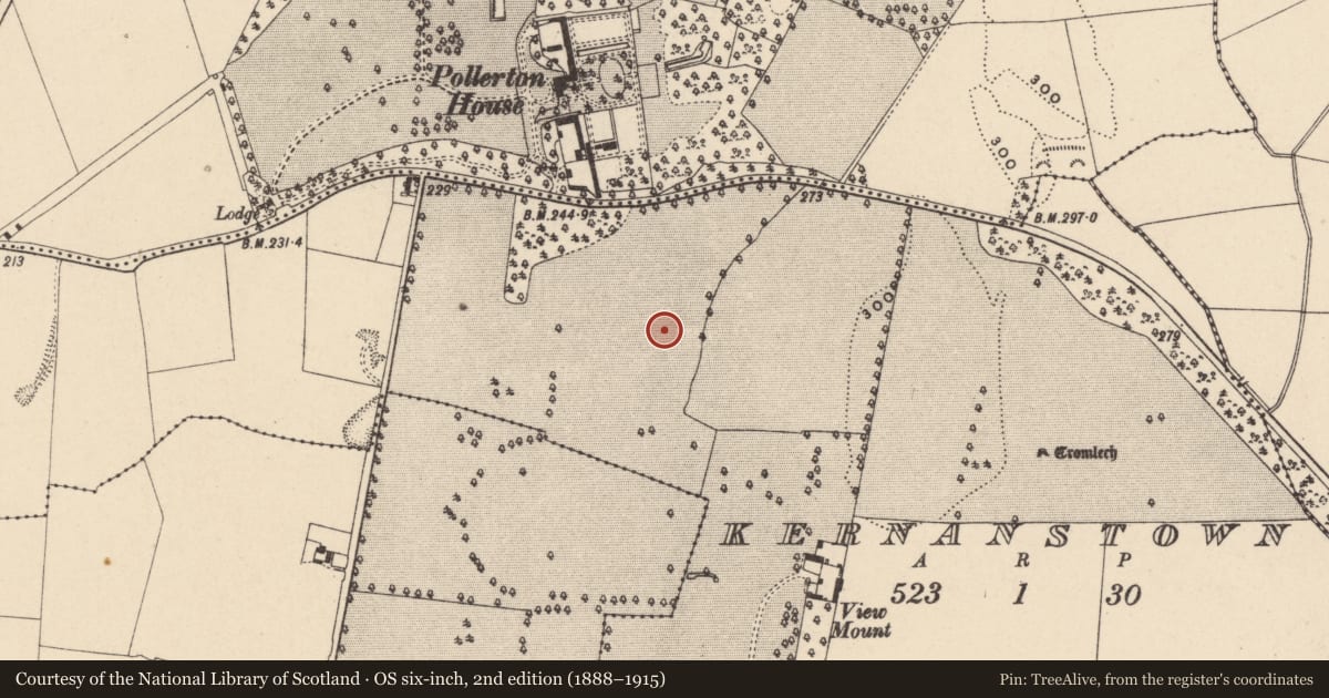 Ordnance Survey six-inch map, 2nd edition (1888–1915) covering the location of Enclosure, Kernanstown, County Carlow, with a pin at the register's coordinates