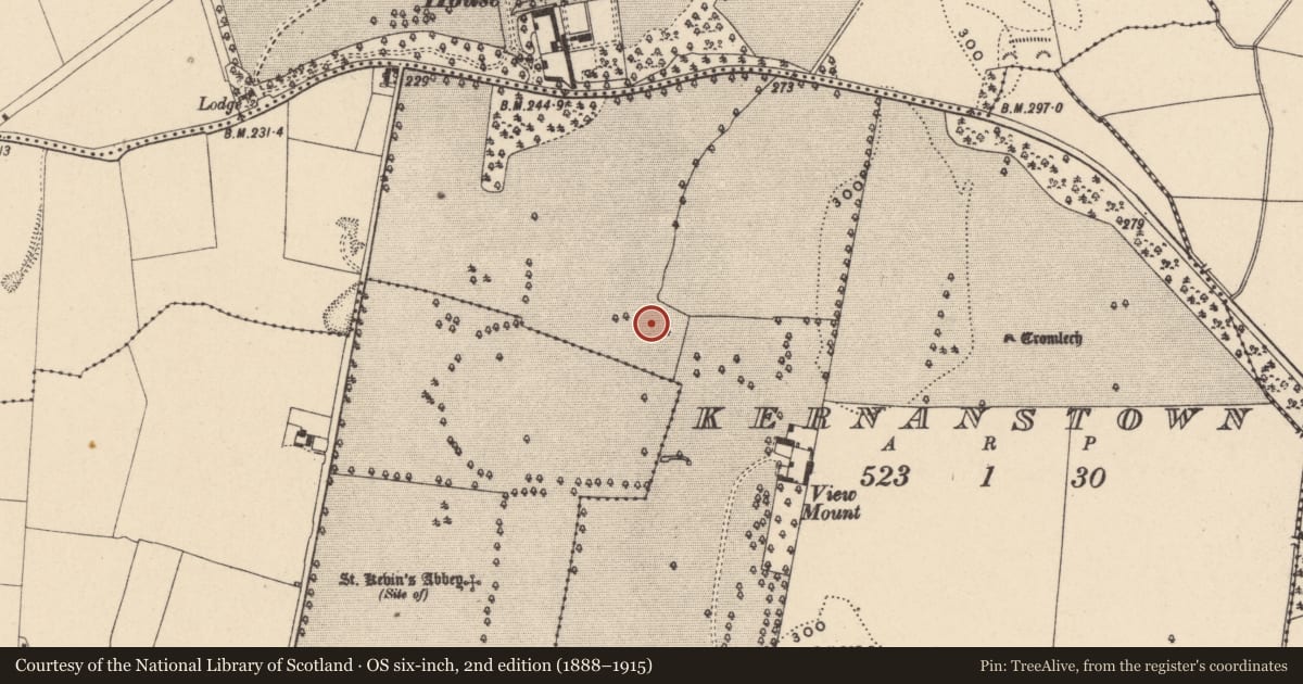 Ordnance Survey six-inch map, 2nd edition (1888–1915) covering the location of Enclosure, Kernanstown, County Carlow, with a pin at the register's coordinates