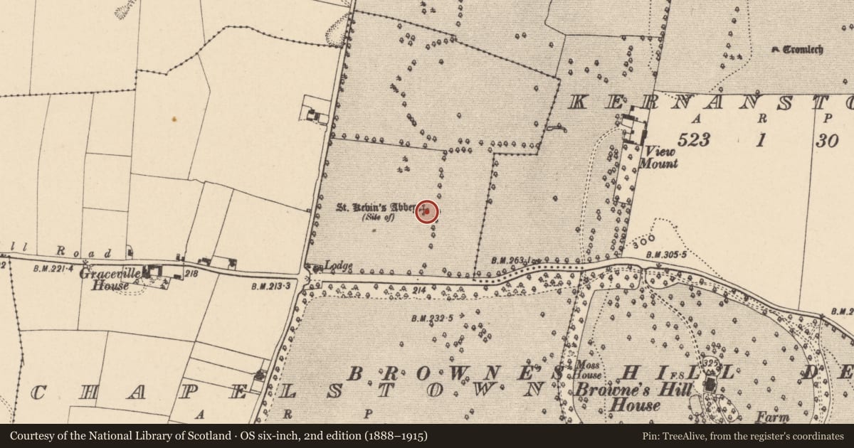 Ordnance Survey six-inch map, 2nd edition (1888–1915) covering the location of Ecclesiastical site, Chapelstown, County Carlow, with a pin at the register's coordinates