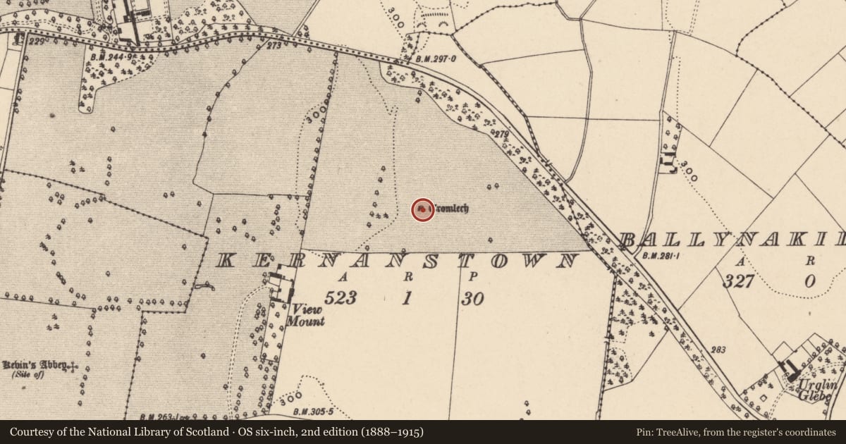Ordnance Survey six-inch map, 2nd edition (1888–1915) covering the location of Megalithic tomb - portal tomb, Kernanstown, County Carlow, with a pin at the register's coordinates