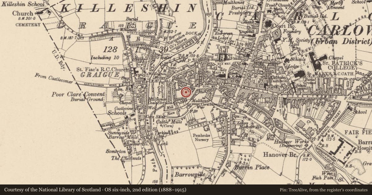 Ordnance Survey six-inch map, 2nd edition (1888–1915) covering the location of Castle - Anglo-Norman masonry castle, Carlow, with a pin at the register's coordinates
