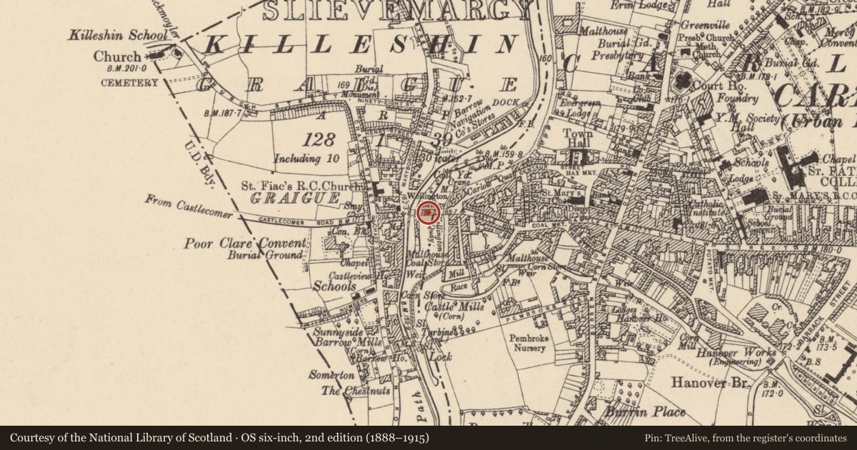 Ordnance Survey six-inch map, 2nd edition (1888–1915) covering the location of Bridge, Carlow, with a pin at the register's coordinates