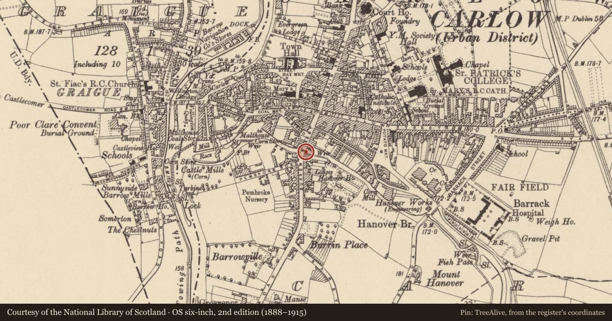 Ordnance Survey six-inch map, 2nd edition (1888–1915) covering the location of Bridge, Carlow, with a pin at the register's coordinates