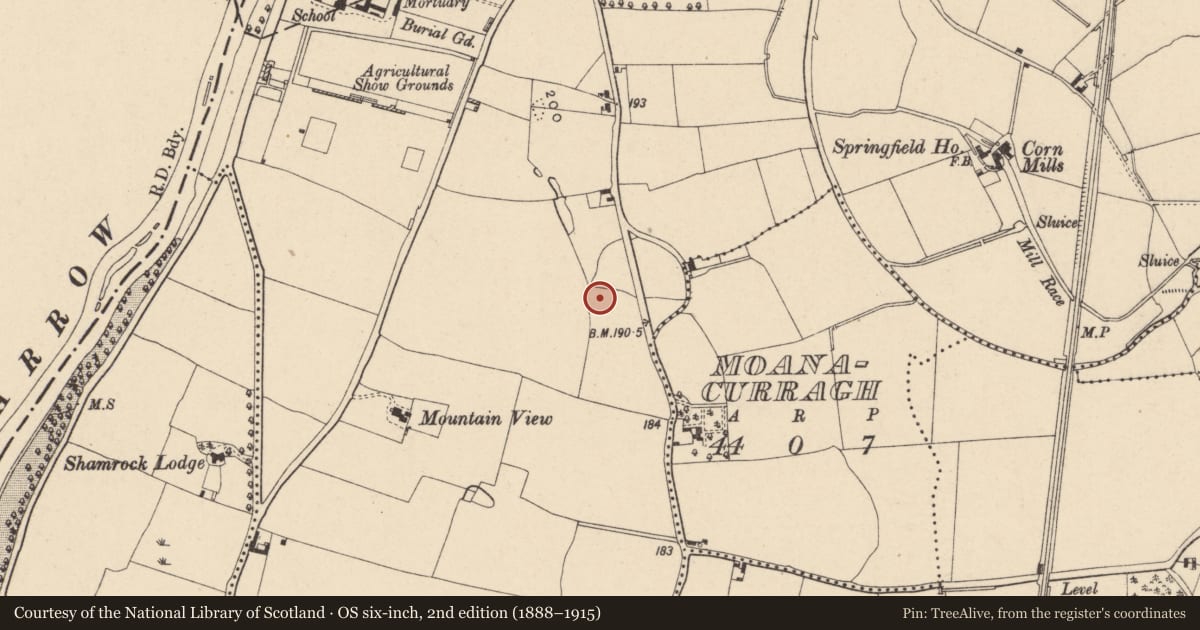 Ordnance Survey six-inch map, 2nd edition (1888–1915) covering the location of Enclosure, Carlow, with a pin at the register's coordinates