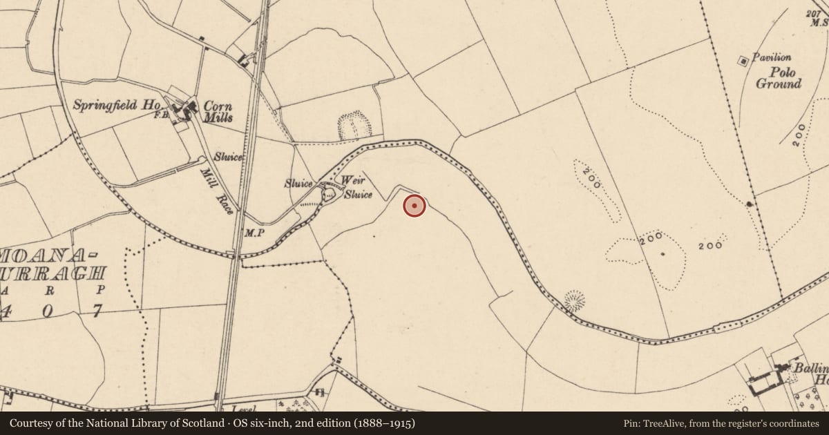 Ordnance Survey six-inch map, 2nd edition (1888–1915) covering the location of Moated site, Ballinacarrig, County Carlow, with a pin at the register's coordinates