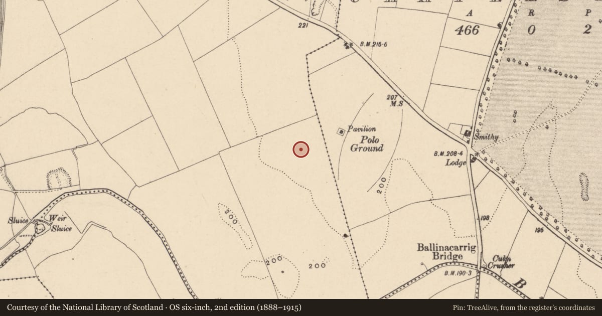 Ordnance Survey six-inch map, 2nd edition (1888–1915) covering the location of Enclosure, Carlow, with a pin at the register's coordinates