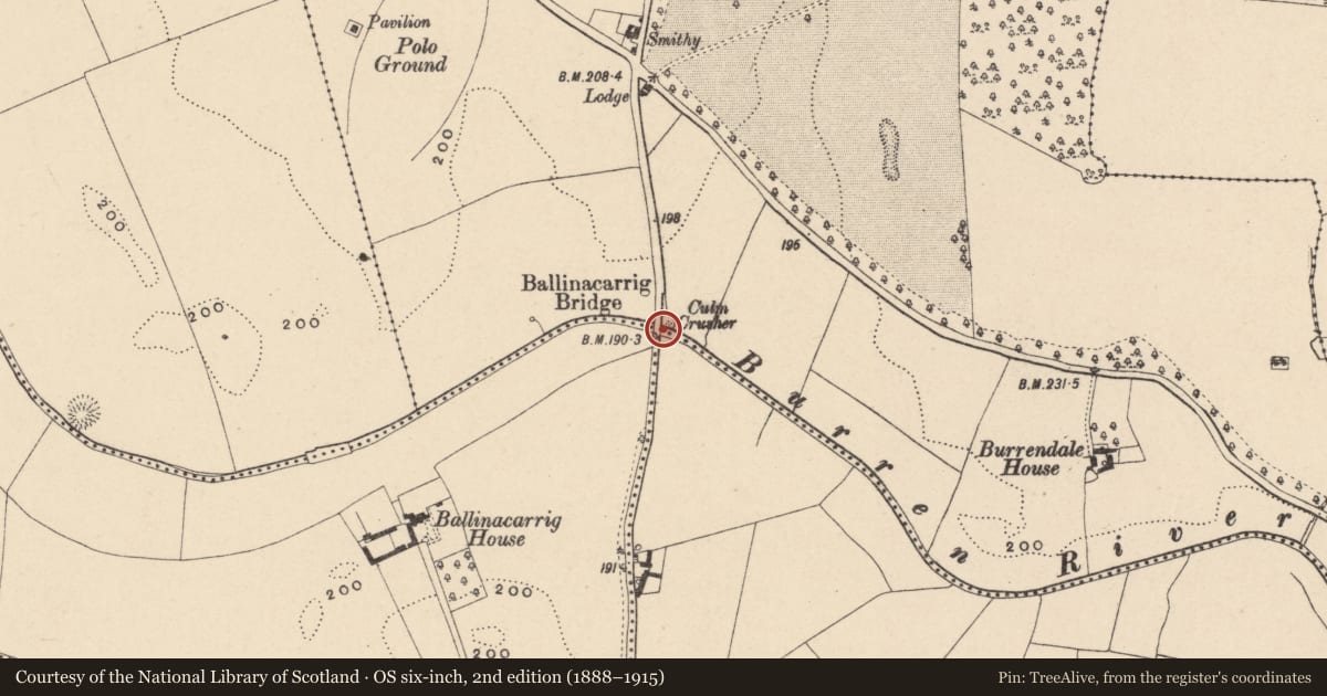 Ordnance Survey six-inch map, 2nd edition (1888–1915) covering the location of Bridge, County Carlow, with a pin at the register's coordinates