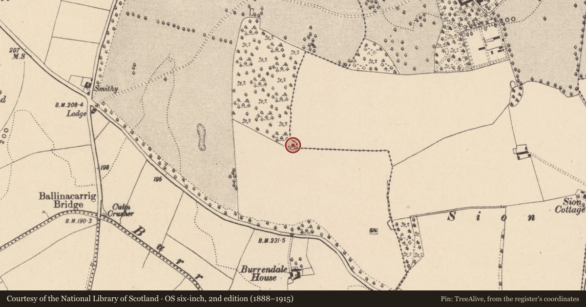 Ordnance Survey six-inch map, 2nd edition (1888–1915) covering the location of Ringfort - rath, Chapelstown, County Carlow, with a pin at the register's coordinates